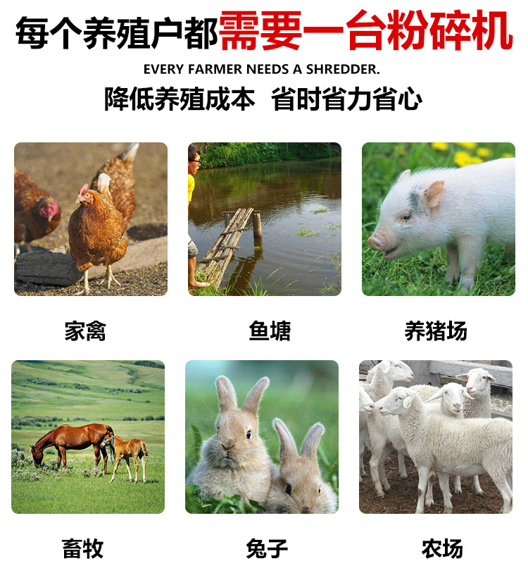 O1CN014skjXR1SKvZcMSSDW_!!4116452229 (1).jpg